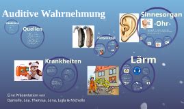 auditive Wahrnehmung by Michelle Hassel on Prezi