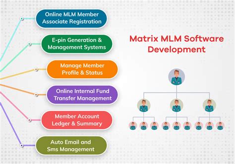 Matrix Plan Mlm Software Matrix Mlm Software Developement Company
