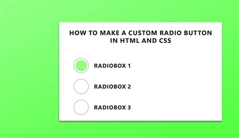 How To Make A Custom Radio Button In Html And Css Doctorcode
