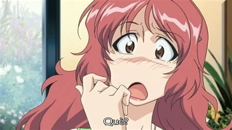 Aniyome Wa Ijippari V Completa AniMugen Fansub