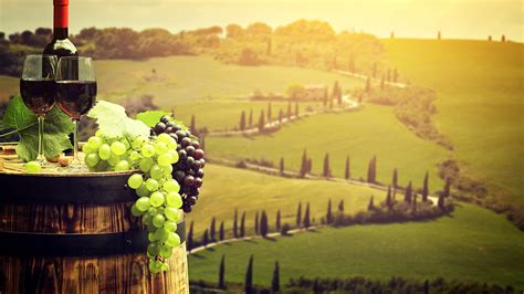 Desktop Wallpapers Tuscany Italy Wine Cask Fields Grapes 1920x1080