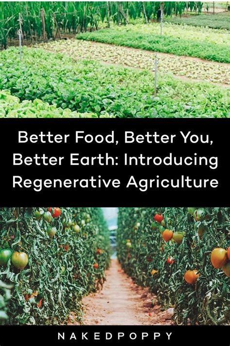 Organic and agroecological farming methods typically build healthier soils, produce less pollution, and protect ecosystems better than conventional cultivation methods. Better Food, Better You, Better Earth: Introducing ...