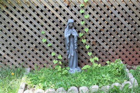 A Blog For My Mom Plant A Mary Garden