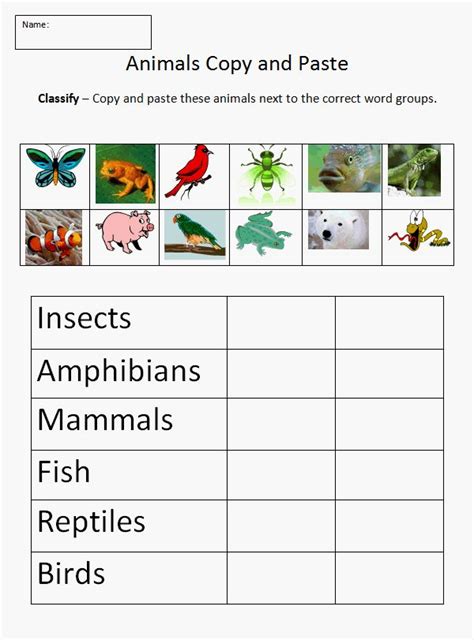 Copy and Paste - Classifying Animals | K-5 Technology Lab | Animal