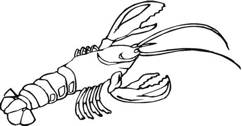 Lobster Outline Lobsters Coloring Pages Free Coloring Pages Wikiclipart