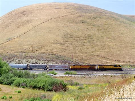 Altamont Pass Grain Cnw 8703 At Altamont Ca May 1999 Ca Flickr