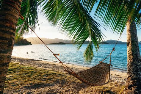 Hammock Between Two Palm Trees High Quality Holiday Stock Photos