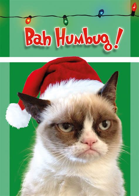 Grumpy Cat Bah Humbug