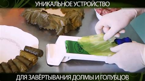 حديث عن العلم واهميته وفضله مما ورد عن رسول الله صلي الله عليه وسلم ‫مكنة لف ورق عنب و ملفوف و رقاقات‬‎ - YouTube