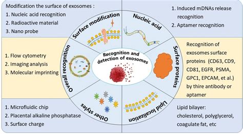 Recent Progress On The Isolation And Detection Methods Of Exosomes