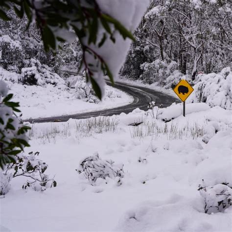 Is Australia In For A Good Snow Season