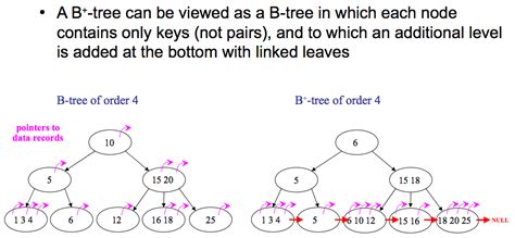 Bツリーとb ツリーの違いは何ですか？