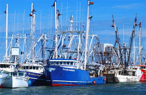 Pictures Of Commercial Fishing Boats Mavieetlereve