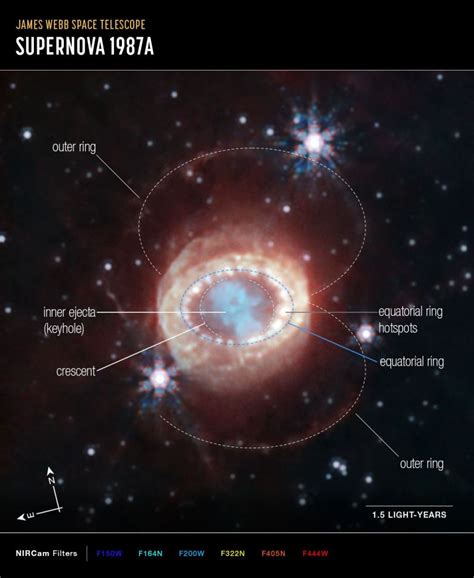 The Closest Supernova Seen In The Modern Era Examined By Jwst