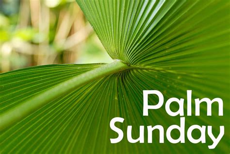 Download Palm Sunday Pictures 1600 X 1071