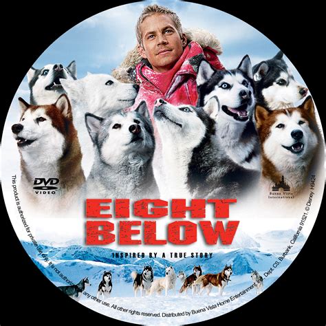 Purchase eight below on digital and stream instantly or download offline. COVERS.BOX.SK ::: eight below - high quality DVD / Blueray ...