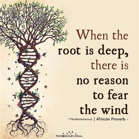 When The Root Is Deep Tree Of Life Quotes Roots Quotes Tree Quotes