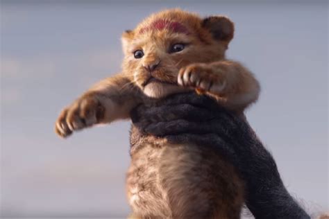 Is The New Disney Lion King Remake “live Action” Or Cgi Yes Vox