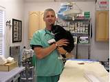 Santa Cruz Veterinary Clinic Pictures