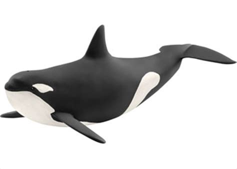 Buy Schleich Killer Whale Figure Sanity
