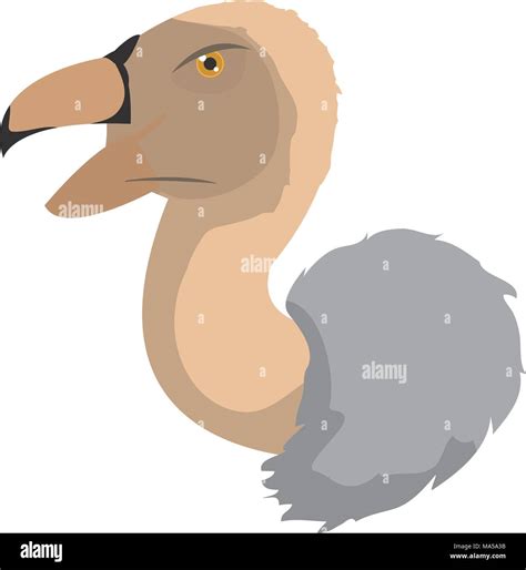 Wild Vulture Head Predator Animal Stock Vector Image And Art Alamy