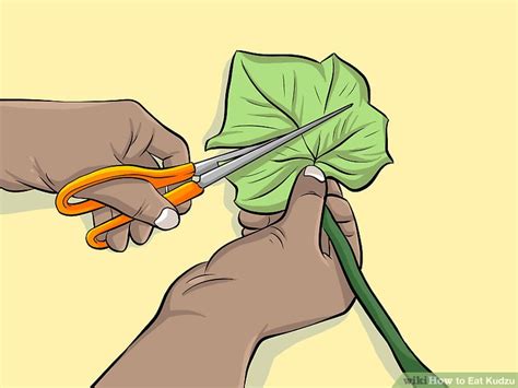 How To Eat Kudzu With Pictures Wikihow