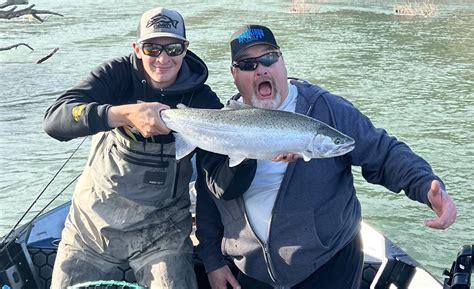 Steelhead Arrive In Chetco Smith Rivers Wild Rivers Fishing