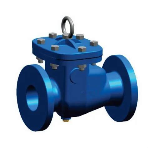 Blue Cast Iron Non Return Valve At Rs 2100piece In Howrah Id