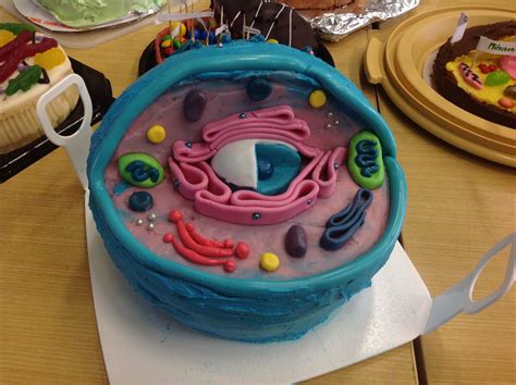 Yr8 Cell Cakes Plant Cell Cake Cell Model Edible Cell