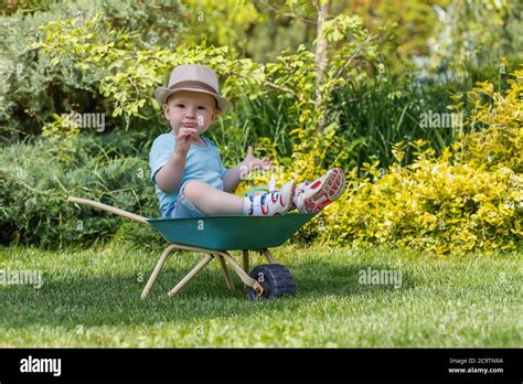 Cute Baby Boy Wearing Hat Is Sitting On Green Wheelbarrow Looking At