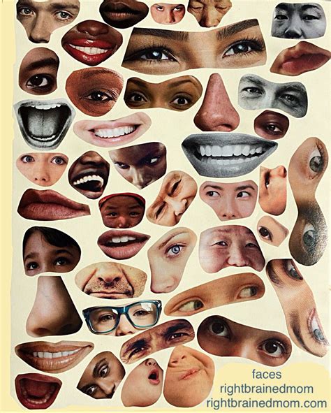 Human Facial Features Print Out Rightbrainedmom Face Collage