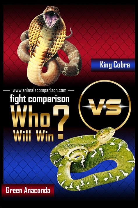 King Cobra Vs Green Anaconda Fight Comparison Who Will Win