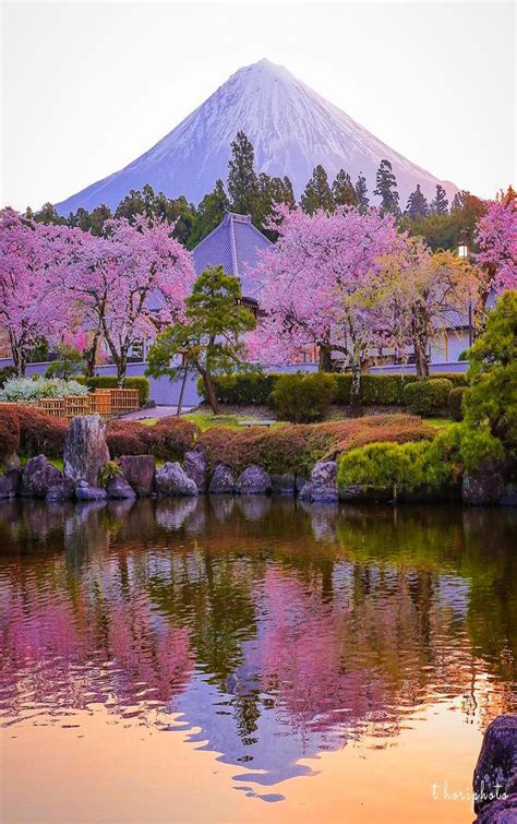 Pin by ivanka kostova on NATURE in 2019 | Nature, Amazing nature, Japanese landscape