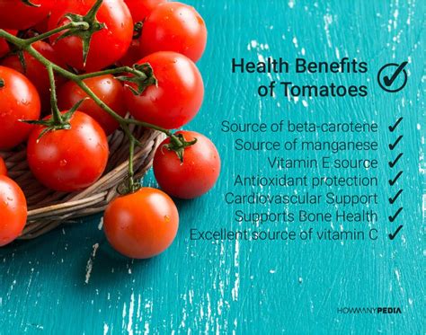 How Many Calories In A Tomato Health Benefits Of Tomatoes Food