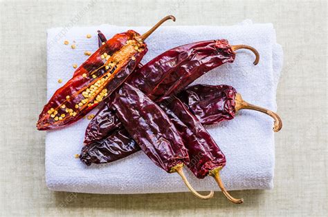 Dried Red Chilli Peppers Capsicum Sp Stock Image C0348345