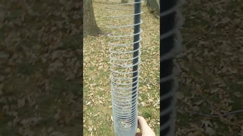 If chipmunks are getting into your garage and home, then i suspect that if you have hawks in your area that one hawk has probably killed and eaten more chipmunks than you've removed. Slinky squirrel deterrent How To Protect Bird feeders ...