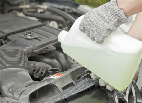Do not store products containing eg around the home; Antifreeze Poison Symptoms - Cats | PetMD