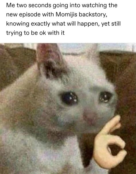 This Cat Meme Is Everything For Me The Start Of My Crying In This