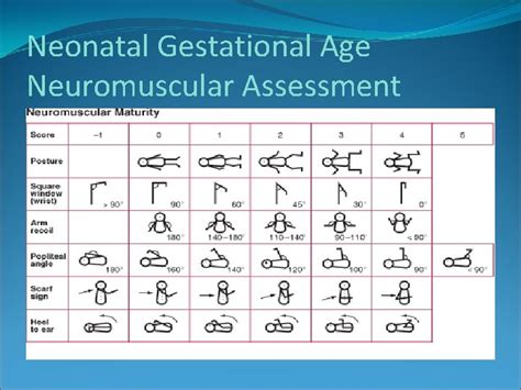 Neonatal Gestational Age Assessment Objectives By The End