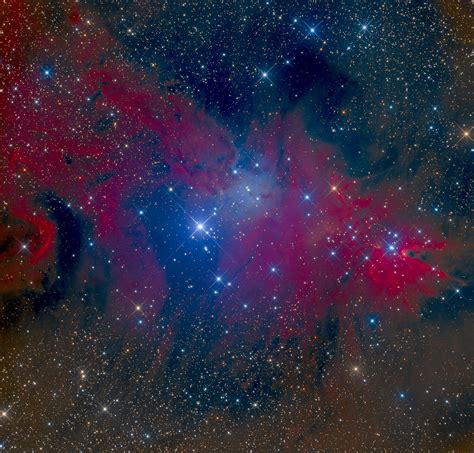 Fox Fur Nebula Nebula Da Raposa Ngc 2264 Material Observa Flickr