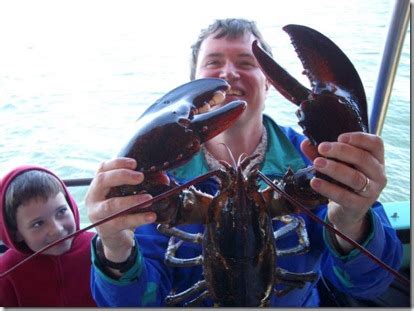 Untuk budidaya lobster air tawar, peternak tidak diwajibkan untuk membangun sebuah media tertentu. Lobster Air Tawar Terbesar di Dunia - Pas Uniknya... Pas ...