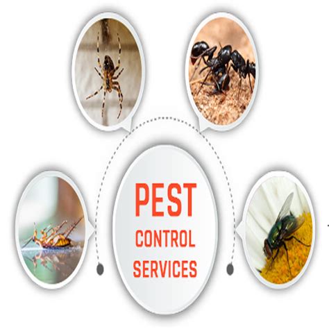 Fleas and ticks are tiny pests that will hitch a ride into your home or business, unbeknownst to you. How to Prepare For Flea And Tick Control Service | Pest ...
