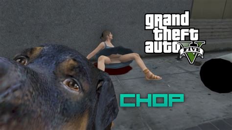 Gta V A Day In The Life Of Chop Youtube