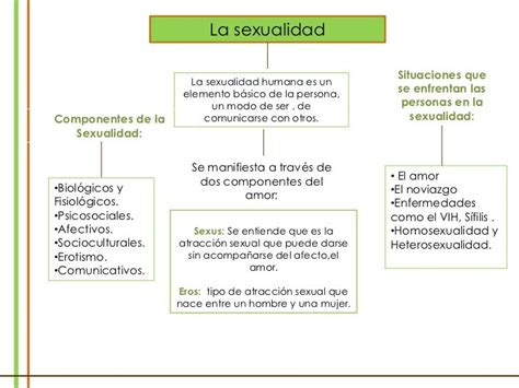 Mapa Conceptual De La Sexualidad ¡guía Paso A Paso