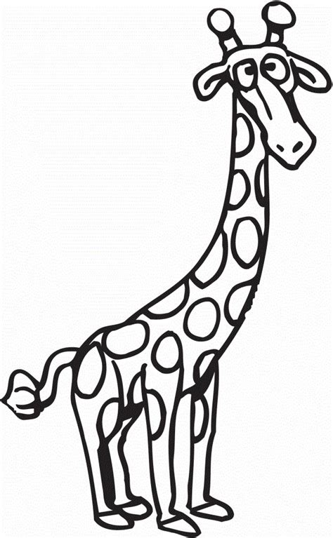 Free printable realistic giraffe coloring pages for kids that you can print out and color. 17 Best images about Giraffes on Pinterest | Fields, Funny ...