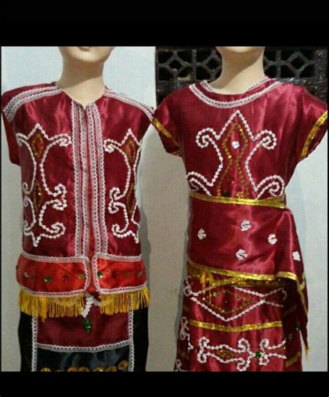 Pakaian Adat Kalimantan Kartun Baju Adat Tradisional