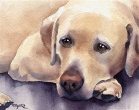 Labrador Retriever Art Print Signed By Artist Dj Rogers Dog Print Art