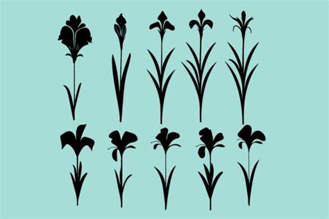 Iris Flower Silhouette Set Graphic By N Pattern · Creative Fabrica
