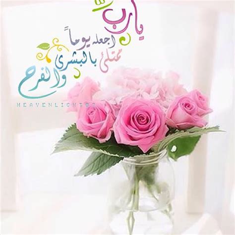 Maybe you would like to learn more about one of these? صباح الورد والفل - صور ورد وزهور Rose Flower images
