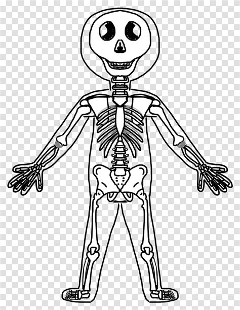 Human Body Black And White Clipart Skeleton Person Stencil